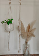 Load image into Gallery viewer, GOLDIE PLANT HANGER